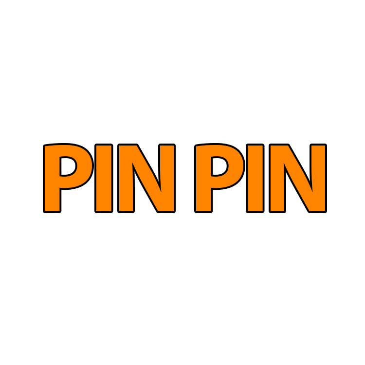PIN PIN